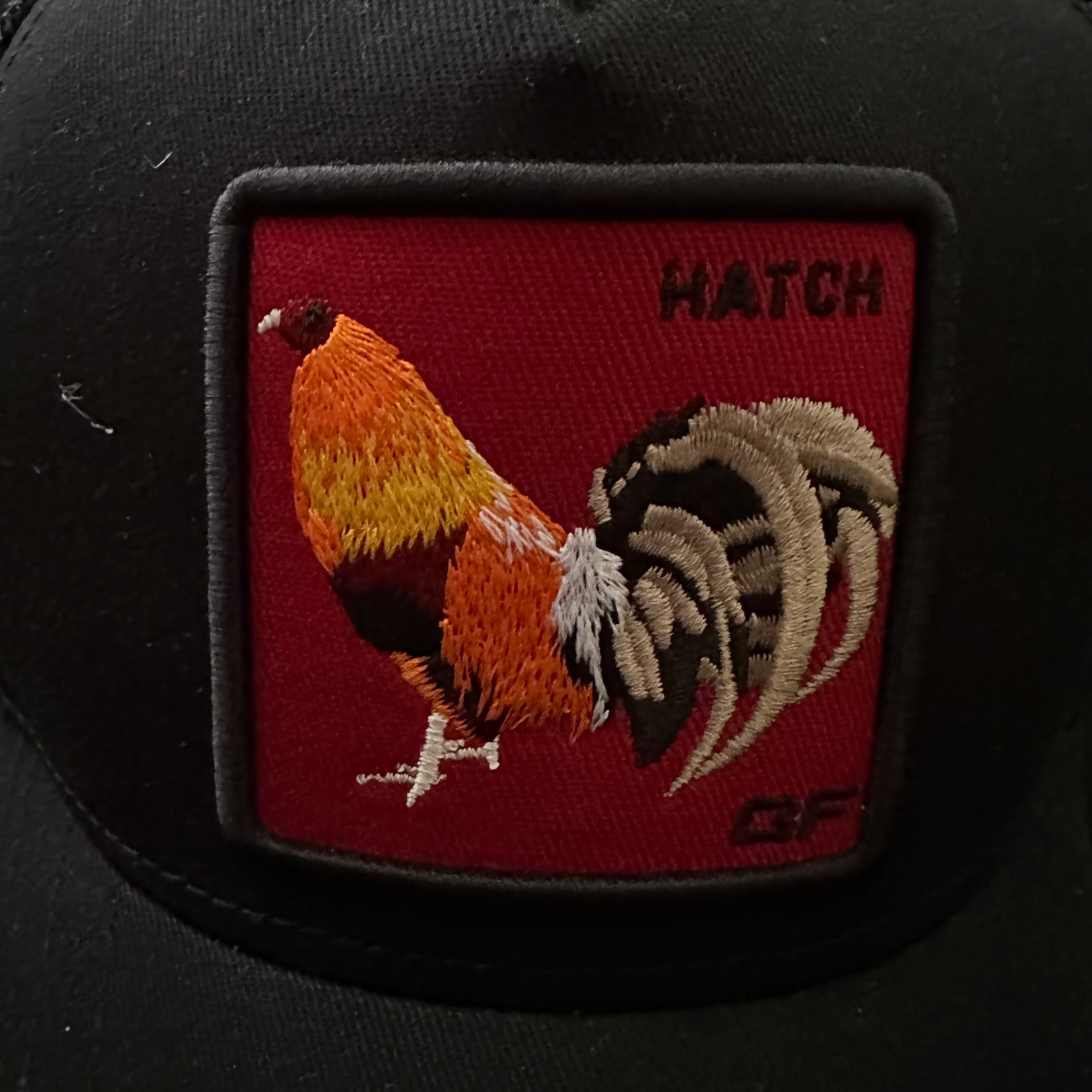 HATCH - BELICO IMPERIAL